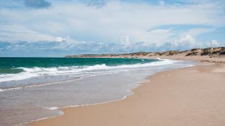 Les Trésors Cachés de Seignosse : Guide des Plus Belles Plages Landaises