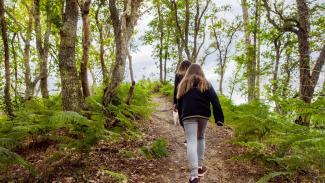 Rencontre avec la Nature : Exploration et Randonnées Autour de Naturéo à Seignosse