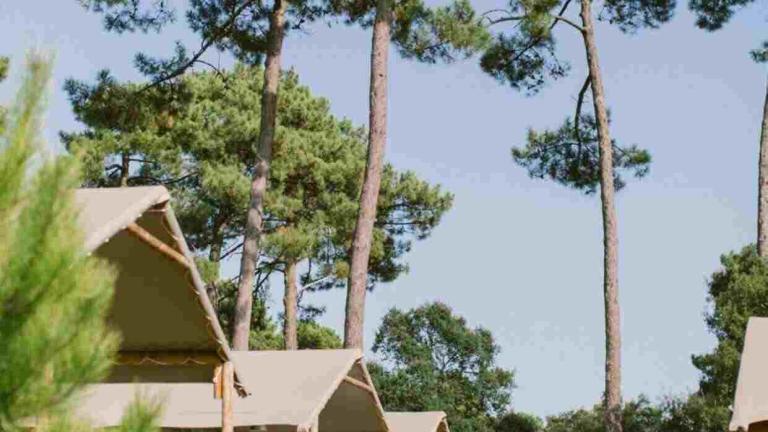 DOSSIER DE PRESSE 2017 NATUREO, C’est dans ma Nature