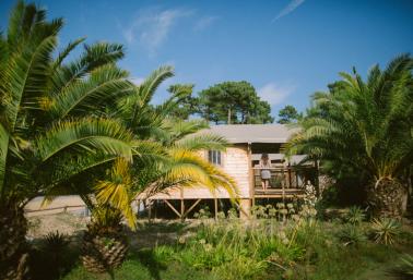cabane africa extérieur